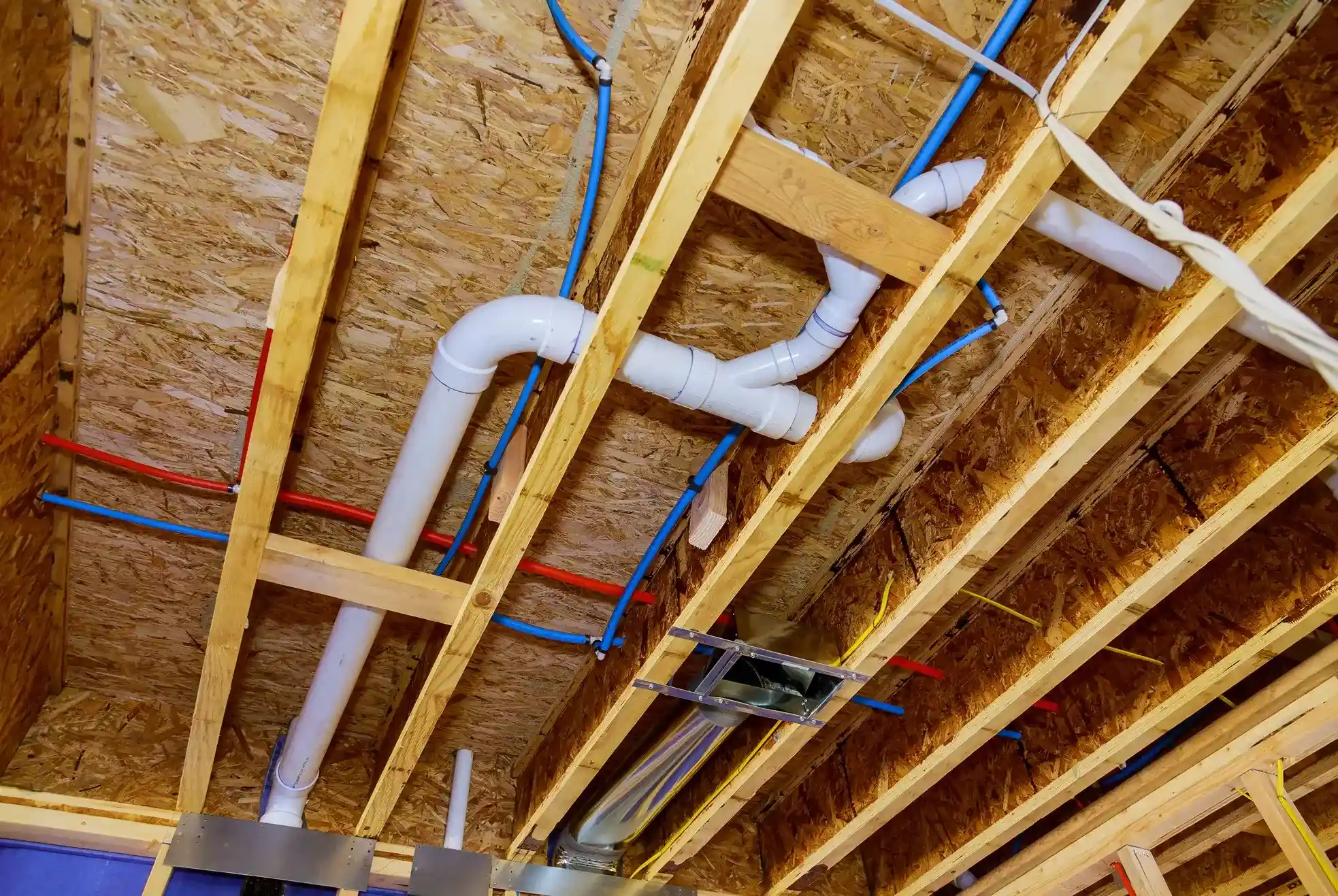 Homeowner inspecting plumbing issues like dripping faucets and backups for timely repairs.